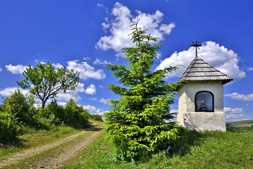 Small white chapel in green field near Jasliska, Beskid Niski, Poland - obrazy, fototapety, plakaty