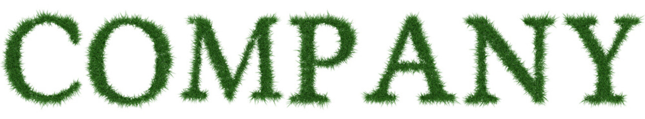 Fototapeta na wymiar Company - 3D rendering fresh Grass letters isolated on whhite background.