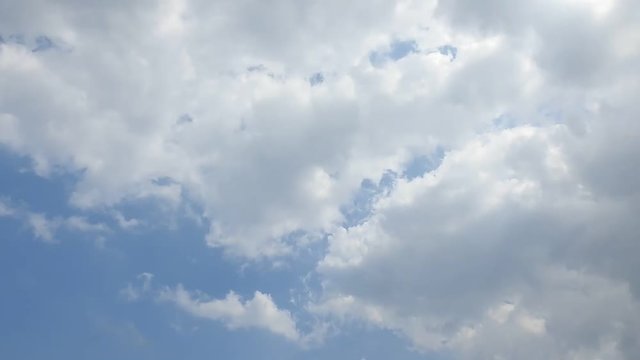 青空、雲、鳥が横切ります。タイムラプス動画