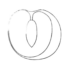 peach fruit icon over white background vector illustration