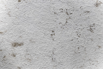 White wall closeup showing texture and detalis.