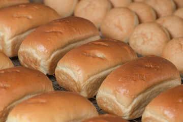 closeup bakery baked bread background