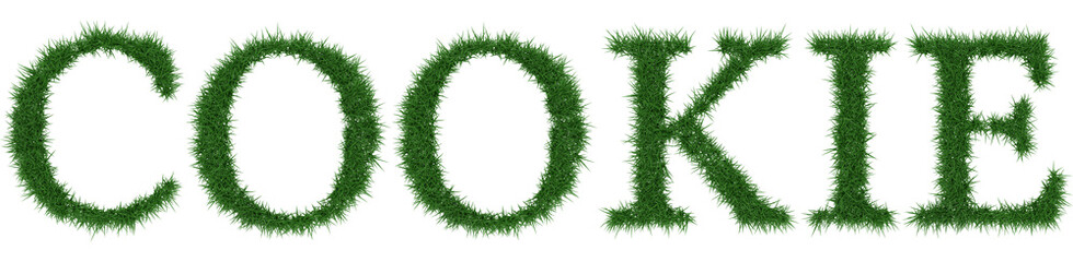 Cookie - 3D rendering fresh Grass letters isolated on whhite background.