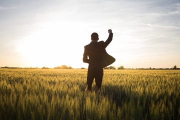 Happy buisinesman having fun in summer fields, man in buisines suit enjoy of freedom, concept of...