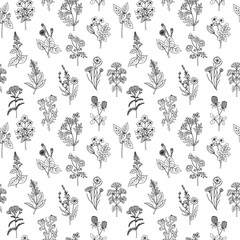 Seamless pattern of various hand drawn herbs and flowers. Background in black and white colors. Graphic style