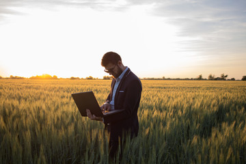 Young man in black suit using laptop in wheat field, during beautiful sunset 