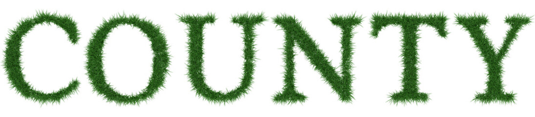 County - 3D rendering fresh Grass letters isolated on whhite background.