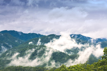 Misty Over The Mountains / Misty Over The Mountains Landscape In Rural Thailand