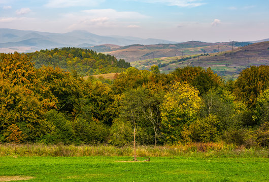 lovely Carpathian countryside with forest and rural fields on  mountains. beautiful scenery in early autumn morning
