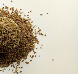 Celery Seeds