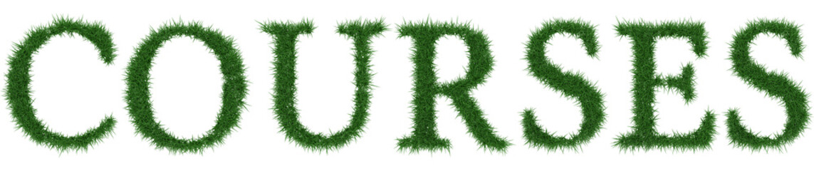 Courses - 3D rendering fresh Grass letters isolated on whhite background.