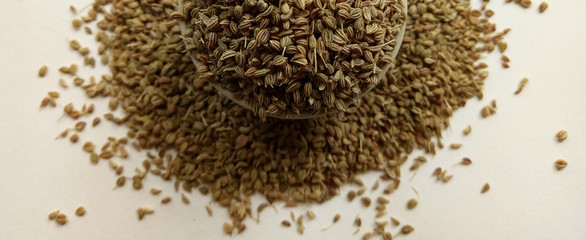 Celery Seeds