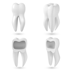 Illustration of Vector Realistic 3D Tooth Set. Healthy Teeth Set Care Vector Product Template Isolated on White Background