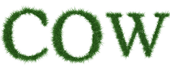 Cow - 3D rendering fresh Grass letters isolated on whhite background.