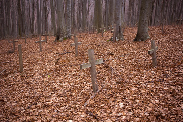 Old partisans graveyard on Petrova gora mountain near Vojnic, Croatia