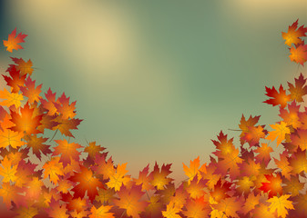 Naklejka na ściany i meble Vector background with autumn leaves.