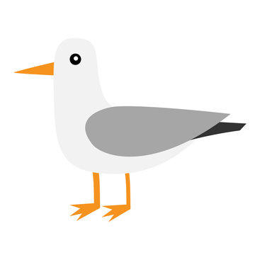 Seagull Cartoon Images – Browse 13,256 Stock Photos, Vectors, and Video |  Adobe Stock