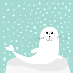 White sea lion. Harp seal pup lying on iceberg ice. Cute cartoon character. Happy baby animal collection. Sea ocean water. Blue snow flake background. Flat design
