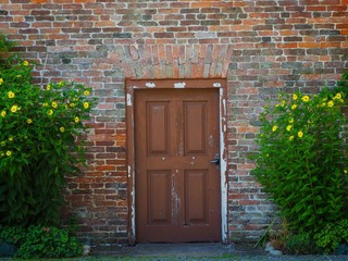 Door