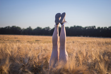 Funny picture of woman legs in summer wheat fields 