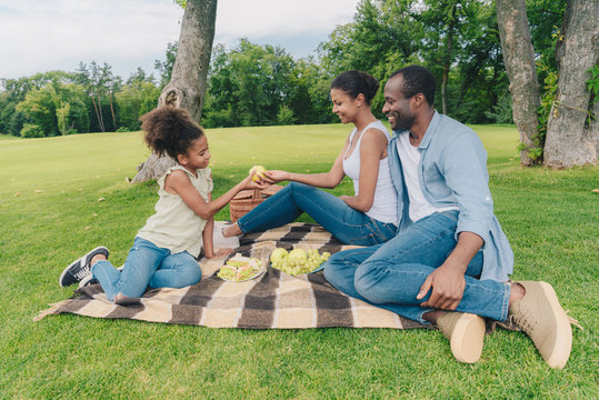 African American Family At Picnic