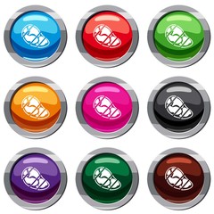 Steak set 9 collection