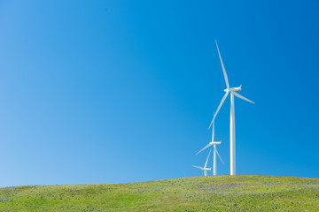 Windmills producing sustainable wind energy