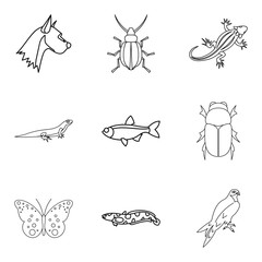 Wood beetle icons set, outline style