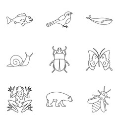 Snail icons set, outline style