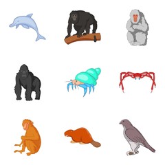 Ape icons set, cartoon style