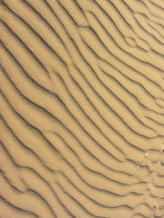 yellow sand moved by the wind