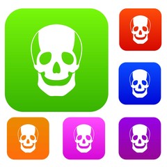  Skull set collection