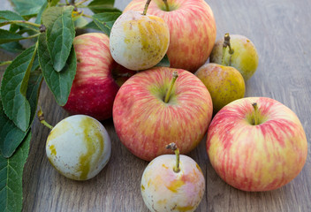 Naklejka na ściany i meble plums with apples