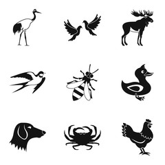 Flying animal icons set, simple style