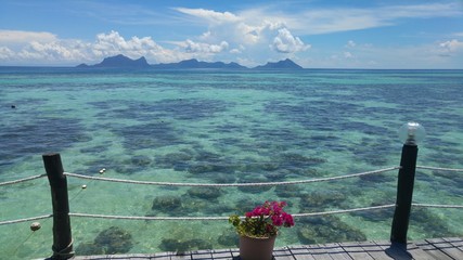 Bornéo  Sabah Malaisie Hotel Lato lato Semporna © sylvie
