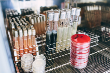 Close up shot of laboratory tubes and glassware.