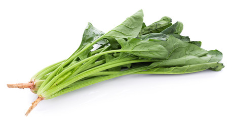fresh spinach on white background