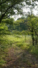 Fototapeta premium Lot et Garonne - France