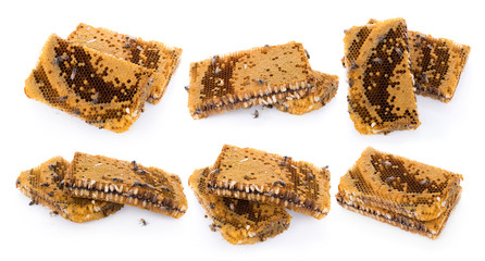 honeycomb isolated on white background
