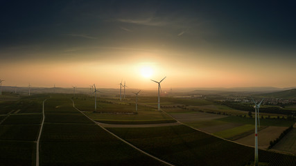 Sonnenuntergang in den Weinbergen mit Windkraftanlagen