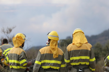 Cuadrillas de Bomberos en el monte