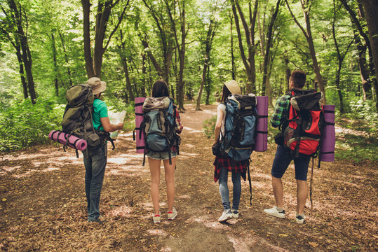 Rear view of four tourists friends walking in the forest in summer sunny day, holding map, trying to find the way, disscus it, all having backpacks, mates