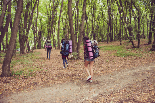 Adventures, here we come! Rear view of three tourists walking in the forest, one after each other, all having backpacks, mates, tey turn from a trial inside to a wild forest