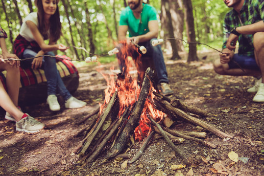Close up cropped shot of fire place, four cheerful serene tourists are sitting around, roasting the marshmallows, nice sunny day, campsite