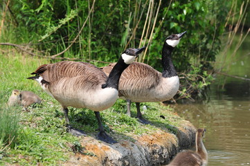 Gelsenkirchen, Germany