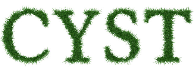 Cyst - 3D rendering fresh Grass letters isolated on whhite background.