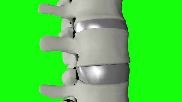 3d vertebra disc lumbar rotation movements
