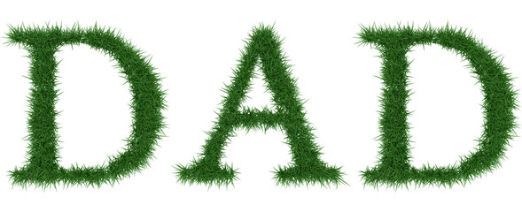 Dad - 3D rendering fresh Grass letters isolated on whhite background.