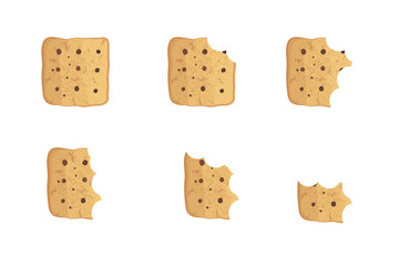  Bitten  chip cookie vector illustration set