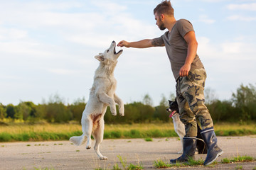 Obraz premium young man plays with two dogs outdoors